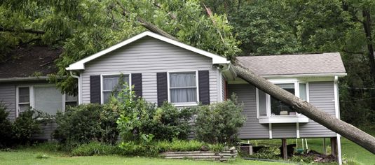Tree fell on roof of house.
